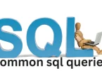 common sql queries
