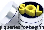 sql queries for beginners