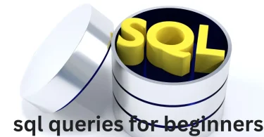 sql queries for beginners