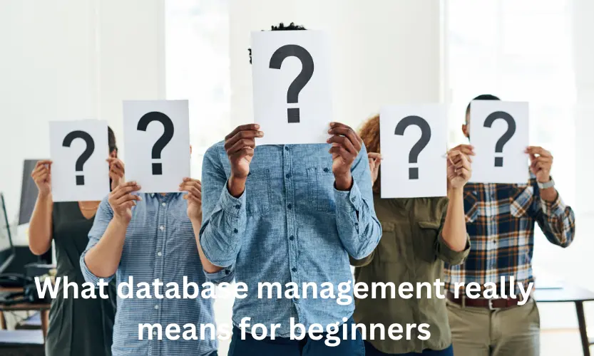what database management really means for beginners